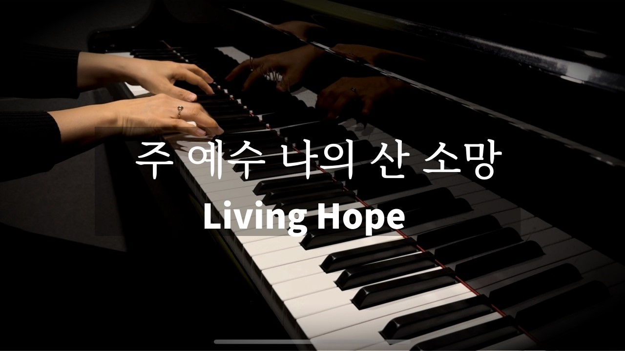 [1시간] 주 예수 나의 산 소망(신의 악단 OST) 피아노 연주 I Living Hope I Piano Worship