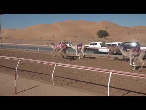 اللبسة سعيد عبيد المزروعي الشوط 22 المركز 1 تاريخ 25 12 2019