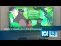 Opening To The Jungle Book 2014 Australian DVD