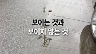 보이는 것과 보이지 않는 것