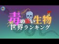 最強の「毒」を持つ生物【世界ランキング発表】