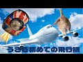 #373【うさぎと帰省1】いざ北海道へ!!うさぎ、飛行機に乗って北海道へ行く編 〜bunnies get on an airplane 1st time 〜