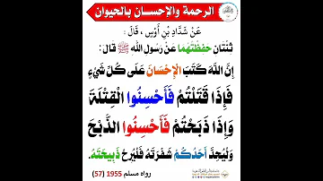 الرفق بالحيوان 