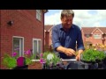Love Your Garden - Shed Roof Love Your Garden - Shed Roof