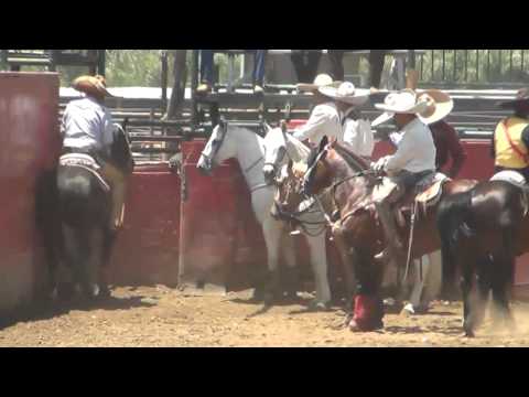 Resumen Coleadero con Banda La Herencia de Jerez. Sábado 9 de Junio 2012