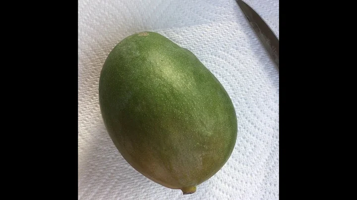 Keitt Mango Tasting off Homegrown Tree