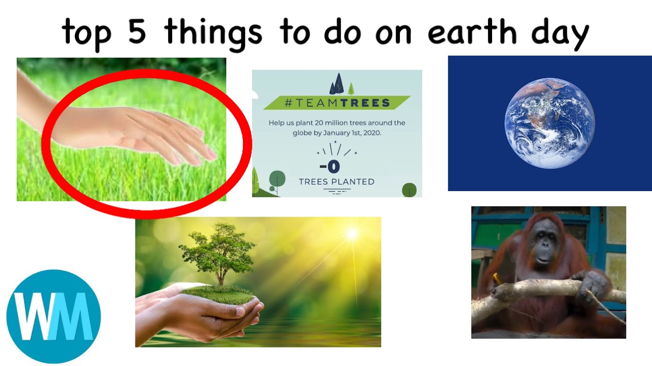top 5 things to do on earth day YouTube