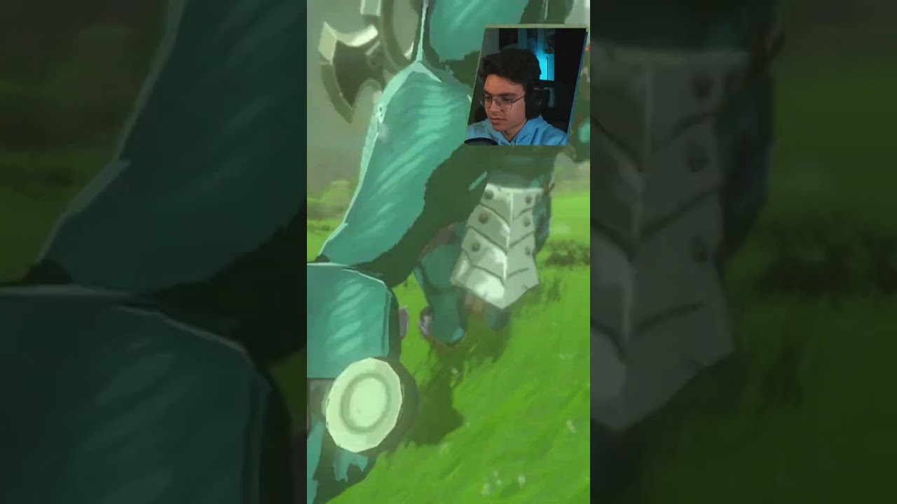 💀Das sieht LINK wenn er LEUNEN bekämpft!💀