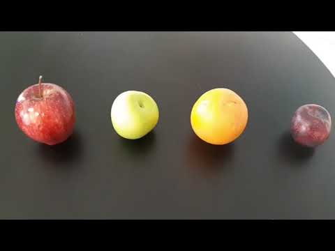 Hyperspectral Image Classification - Philip Sellars