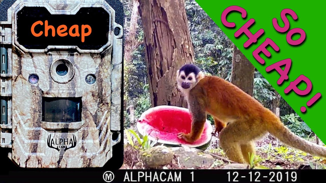 vantop ninja 1 trail camera manual