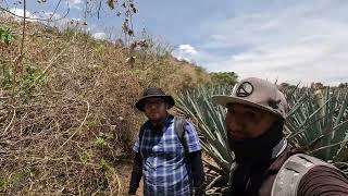 Download Lagu “CAPTAMOS una FIGURA MISTERIOSA con el DRON … ¡Y DESCUBRIMOS un PUEBLO Perdido!” MP3