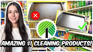 $1 DOLLAR TREE  CLEANING PRODUCTS THAT WILL HAVE YOU SHOCKED!┃???? $1