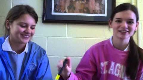 Intrinsic vs. Extrinsic / Homogeneous vs. Heterogeneous