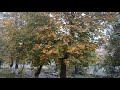 В ПОТОКЕ