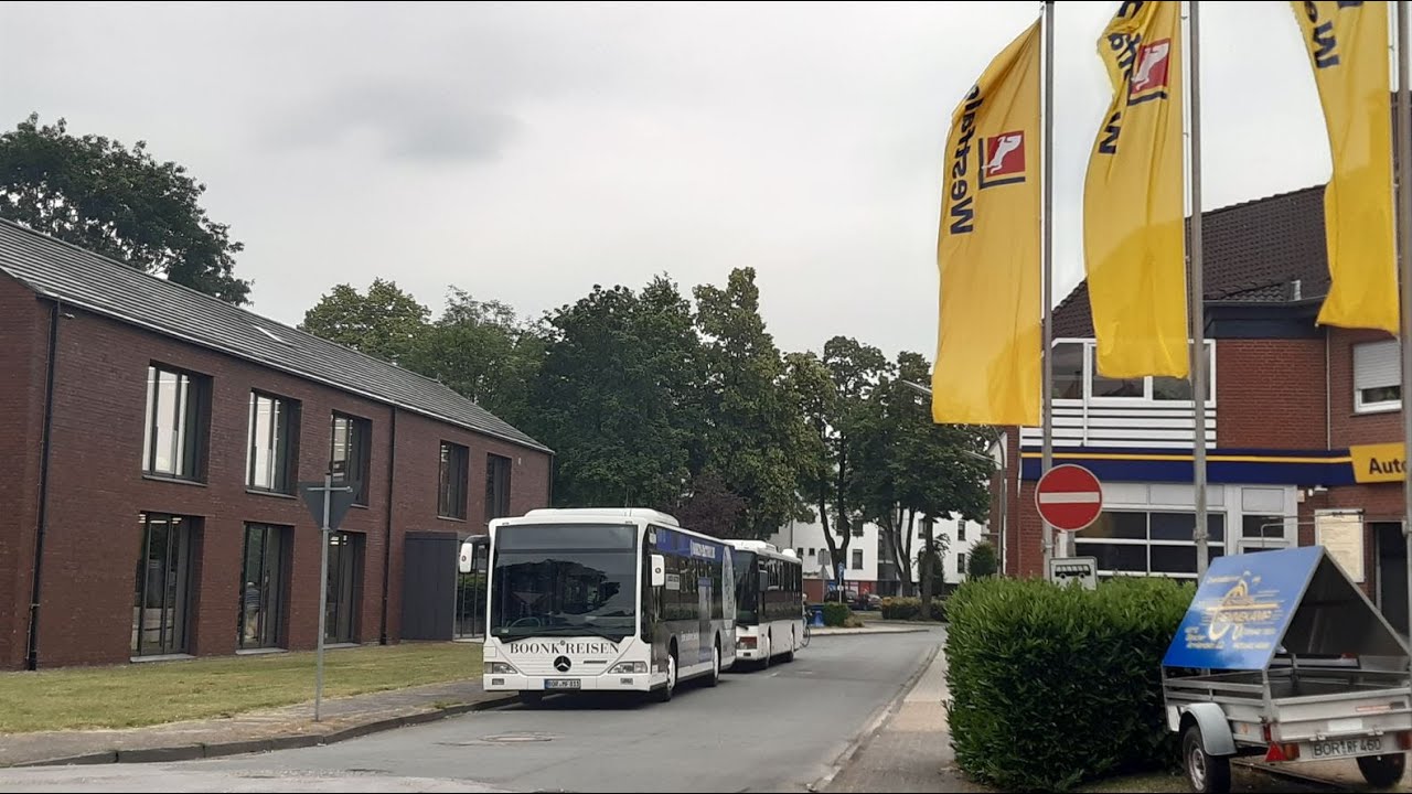 Mercedes-Benz Citaro O 530 Ü | BOR-MF 811 [*] | Boonk Reisen, Ahaus [🚍781] ♪ ZF ♪
