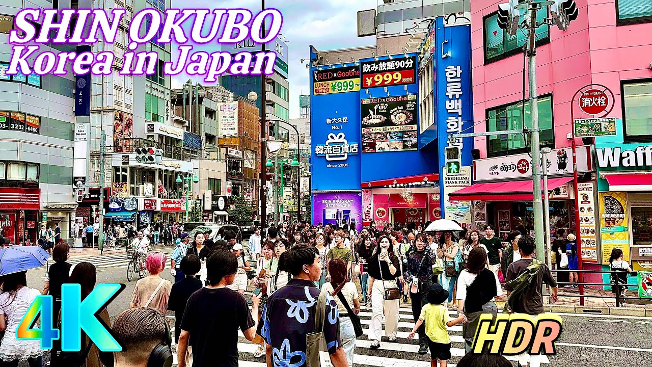 Shin-Okubo Walk, Little Korea in Tokyo, ~ Tokyo Walk, a frame from the walk
