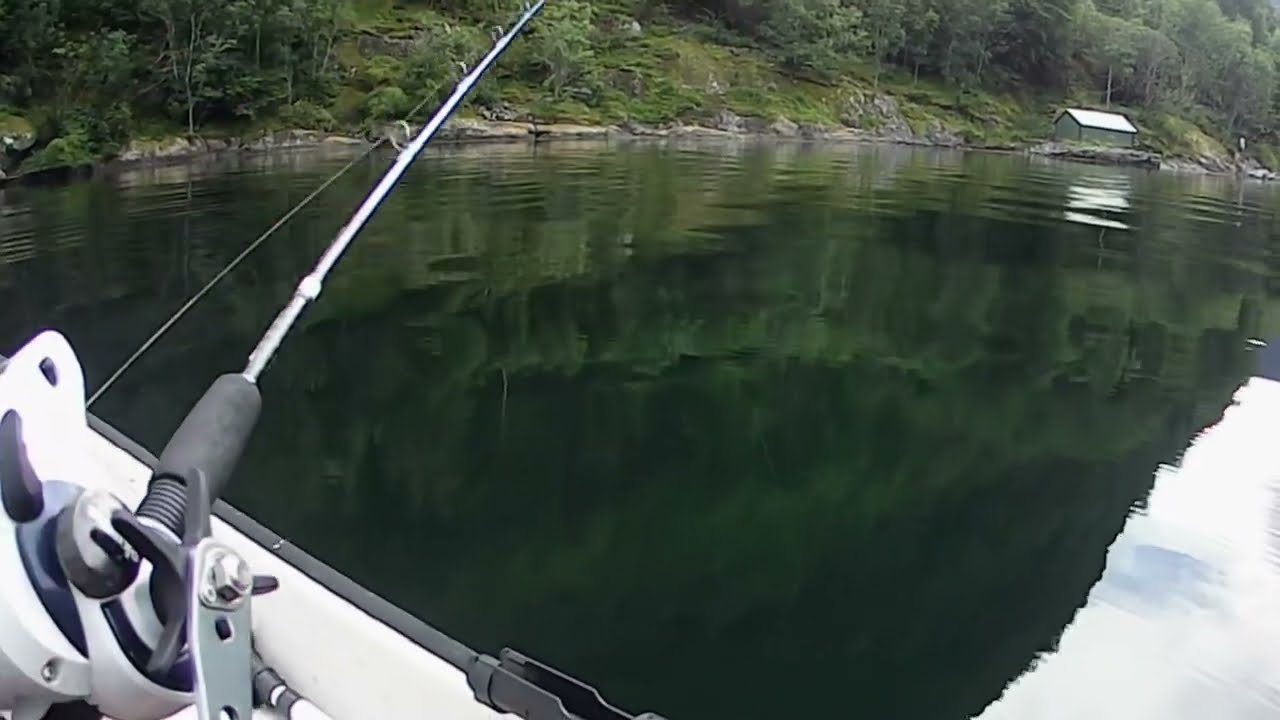 Jiggfiske i Sognefjorden. Lange på kroken.