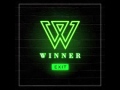 [Full Audio] WINNER - Immature (철없어)
