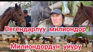 Легендарлуу МИЛИОНДОР