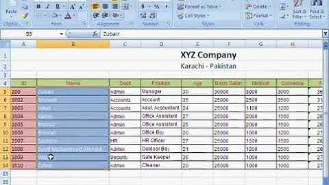 Free Learn Microsoft Excel 2007 Urdu Video Course Class 12
