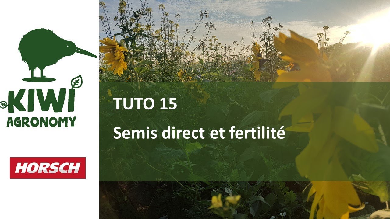 Horsch Academy : semis direct et fertilité