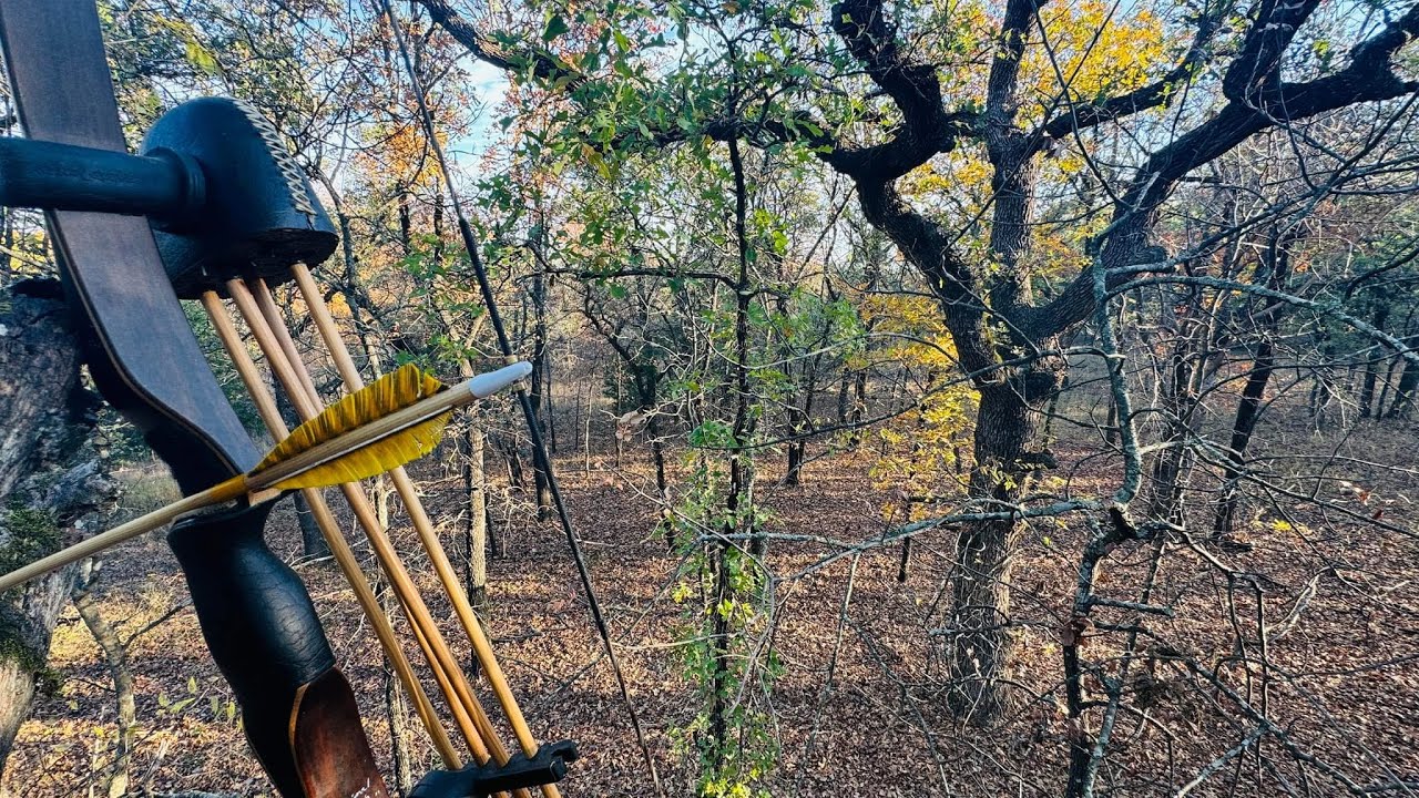 10 Traditional Bow Hunts (+ 10 more)