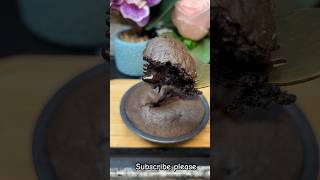 Oreo + chocolate lava crunch cake. viral  chocolate cake