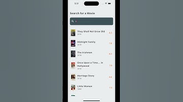 ListView search bar filter in flutter | devhubspot #shorts