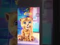 Talking ginger says papa mama #cutecat #catvideo #shorts