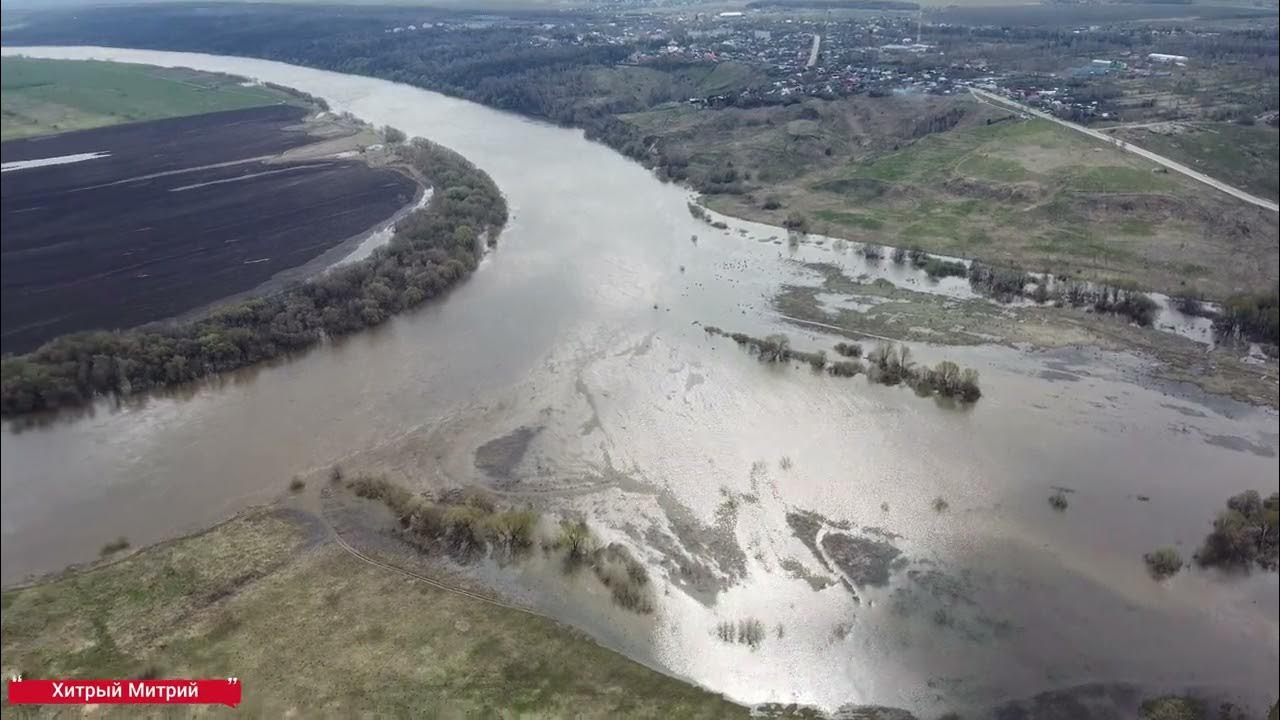 Уровень воды в белоомуте на сегодня оке. Белоомут разлив 2022. Белоомут разлив 2023. Разлив Оки в Белоомуте 2022. Разлив в Белоомуте 2023.