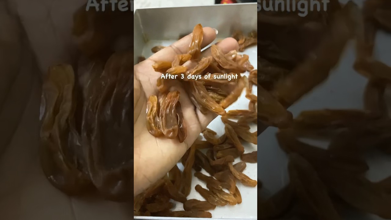 How to make dry grapes at home 🍇 