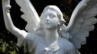 Code 1:   Let There Be Light ~ with Dr. Marj Britt