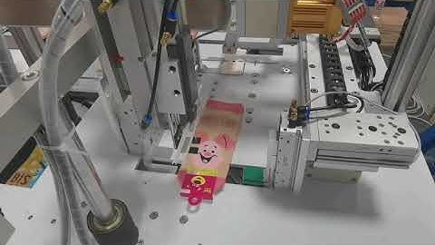 Automatic Socks Packing Machine | Effortless Tagging & Bundling