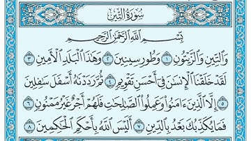الشيخ/ نواف بن ناجي الشلوي - سورة التين