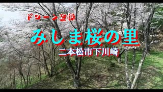 ドローン空撮　みしま桜の里（二本松市下川崎）