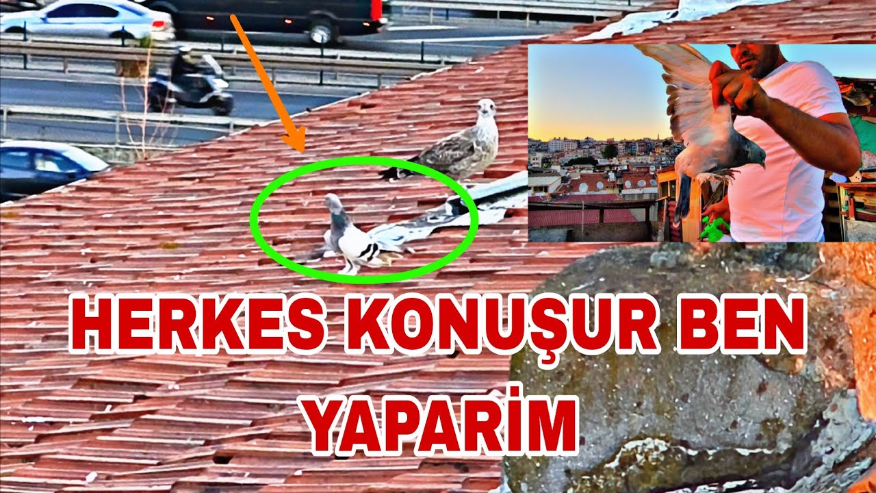 KAÇAK TAKLACİ OYUNDAN YAN ÇATİYA DÜŞTÜ HERKES KONUŞUR BEN YAPARİM KAÇİŞ YOK