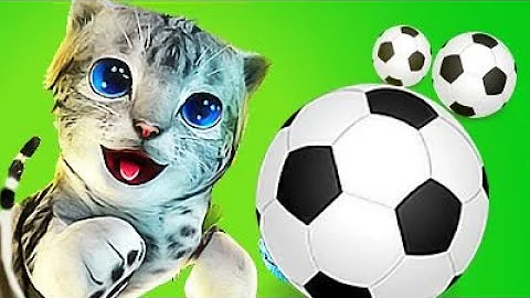 Watch the video about Naughty Kitten Fun Pet Games - Play Real Cat 3D Funny Kitten **** Gameplay