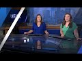 Keep your pet flea-free this summer | WSOC-TV