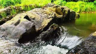 Peaceful Forest Stream over Rocks – Soothing Nature White Noise | Pure Nature Therapy