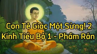 Kinh NIKAYA Giảng Giải - Sống Một Mình Như Tê Giác Một Sừng ! 2