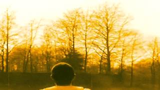 Bibio - Above The Rooftop (Over 1000 SUBS MV)