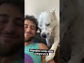 Köpeğimi sevip elimi çekince bakın ne yapıyor.