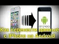 Как перенести данные с iPhone на Android