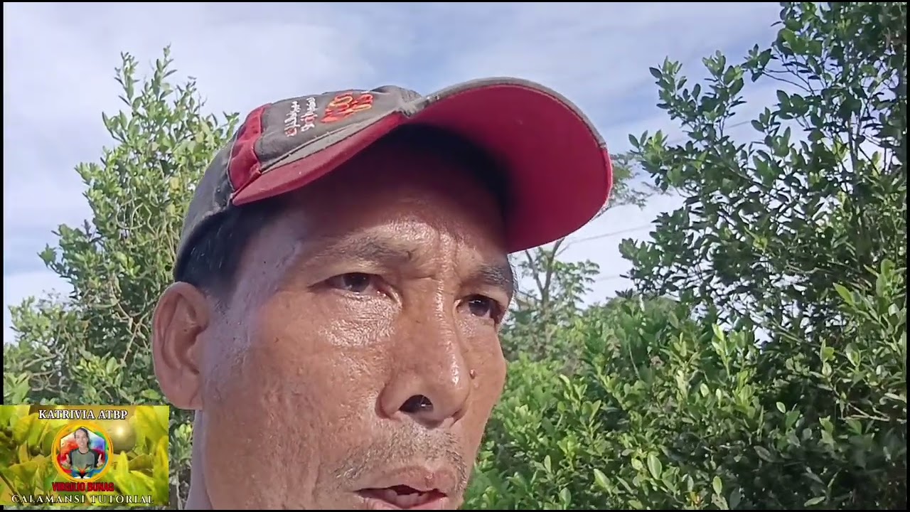 Power spray vs chargeable sprayer ano ang epekto sa bunga