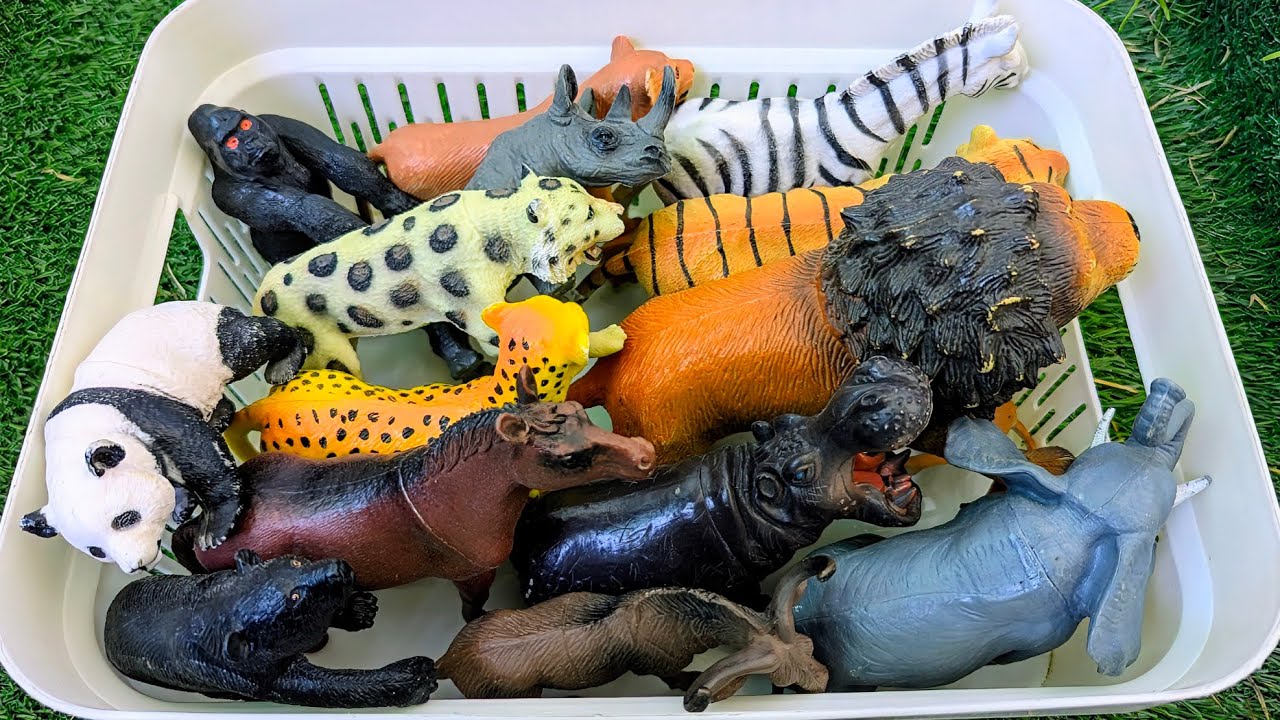 Wild Zoo Animals for Kids | Learn Animal Names & Sounds in English | Toddler Educational Video