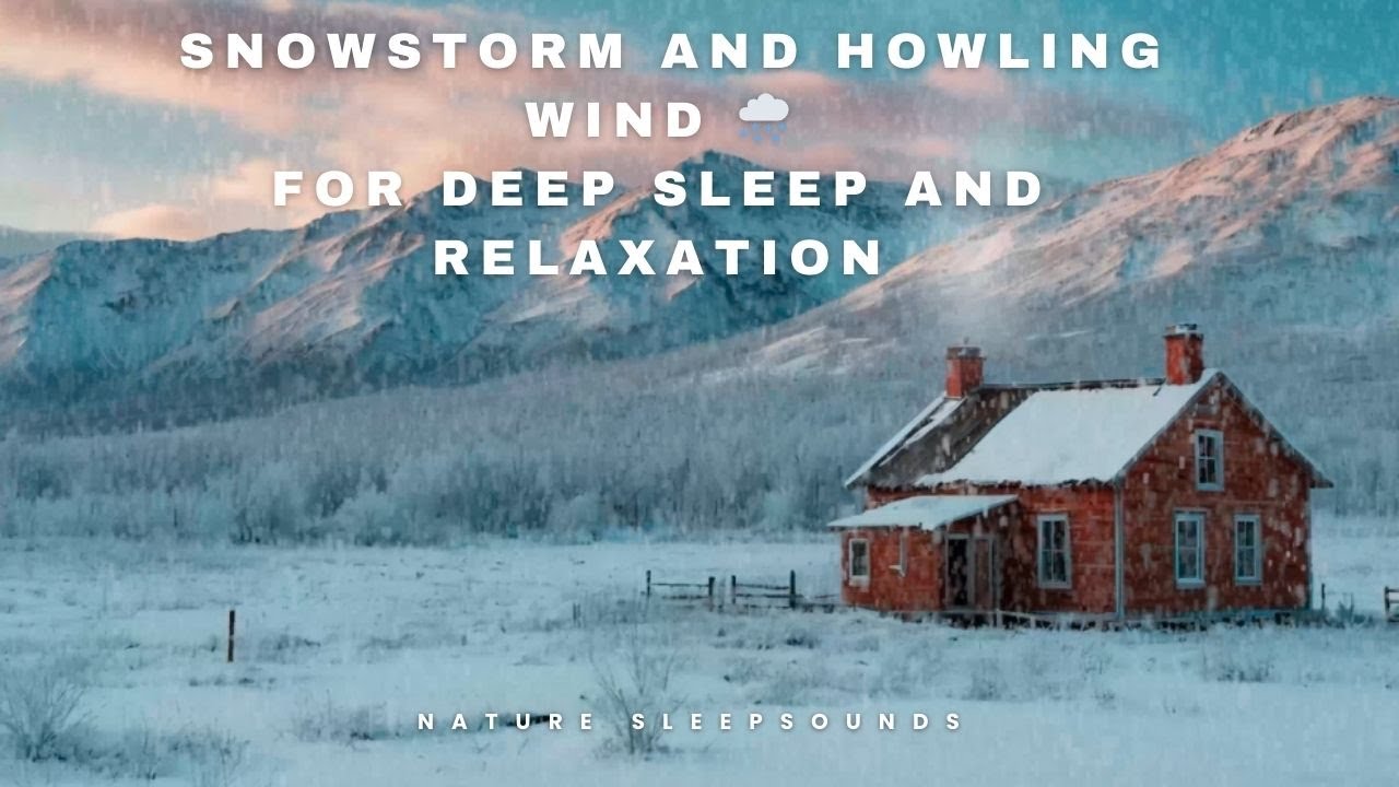 Snowstorm and Howling Wind 🌨️ – For Deep Sleep and Relaxation - YouTube