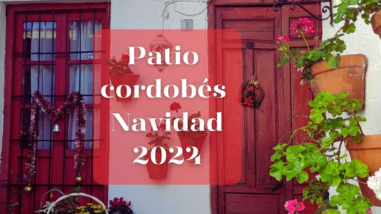 Paseo Patio Marroquíes Navidad 24