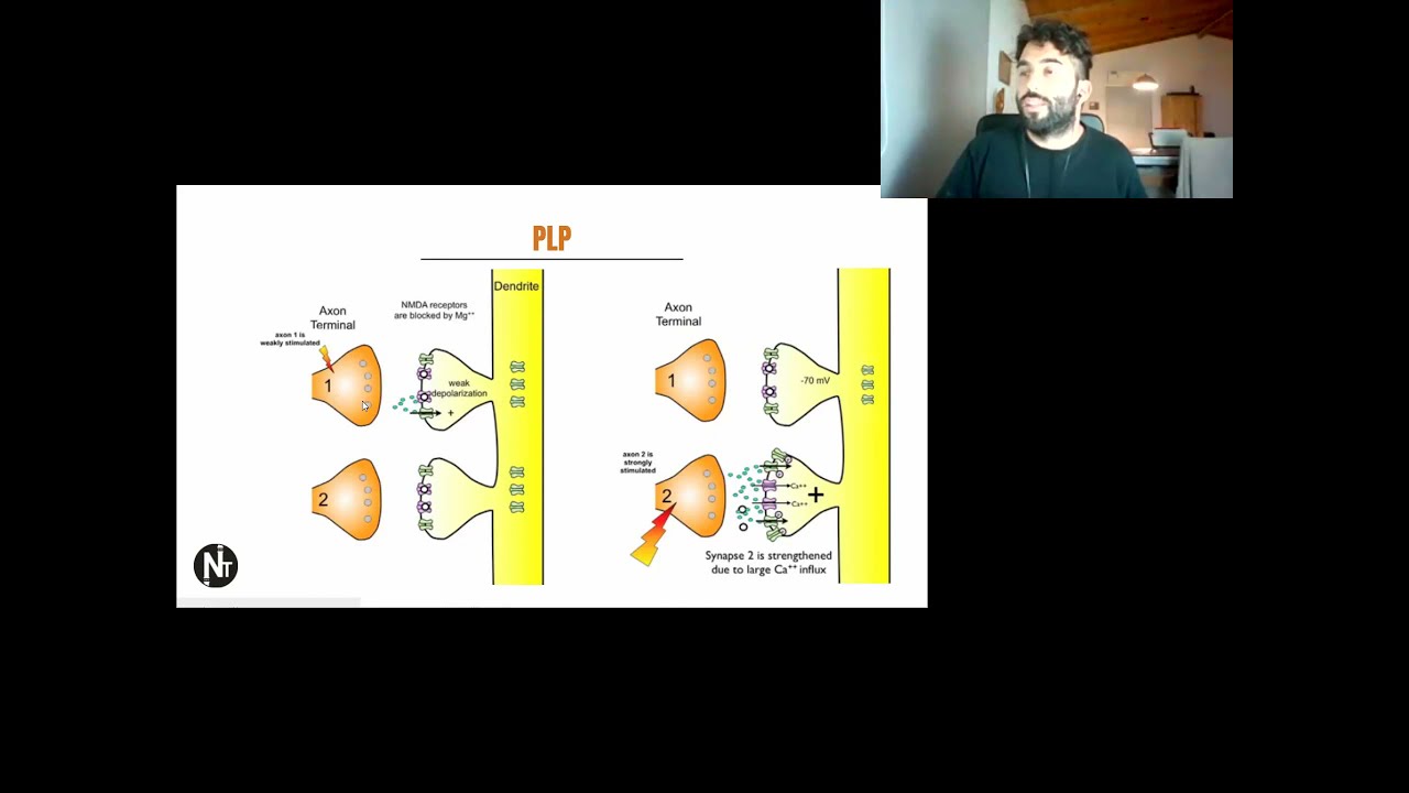 🗣️ CLASES SINCRÓNICAS - SEMANA 10 y 11 - MEMORIA Y APRENDIZAJE