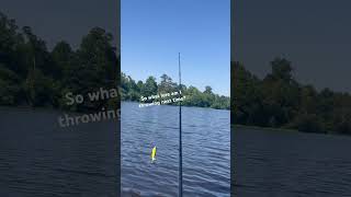 Kayaking on the water #fishing #topwater #heron #kayaking #beautiful #fish #boating #pelicans #ponds