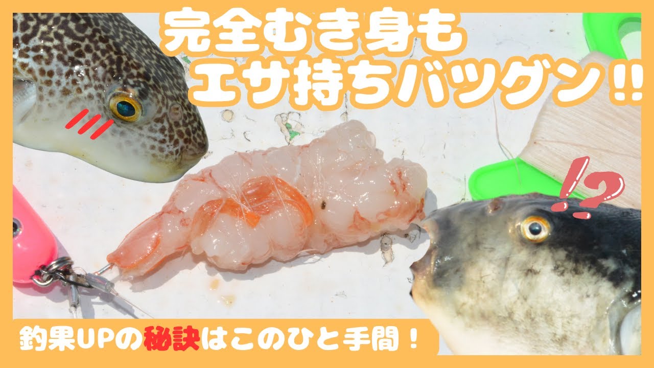 サニー商事オンラインショップ / ふぐのいと